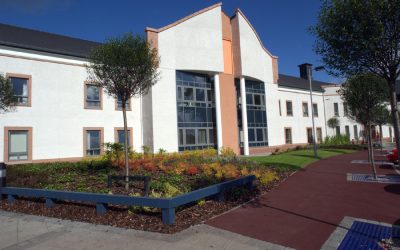 Sustaining the FLOW – reflections from Wishaw