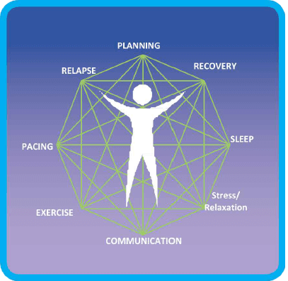 lsm-web-comp the key principles of lifestyle management