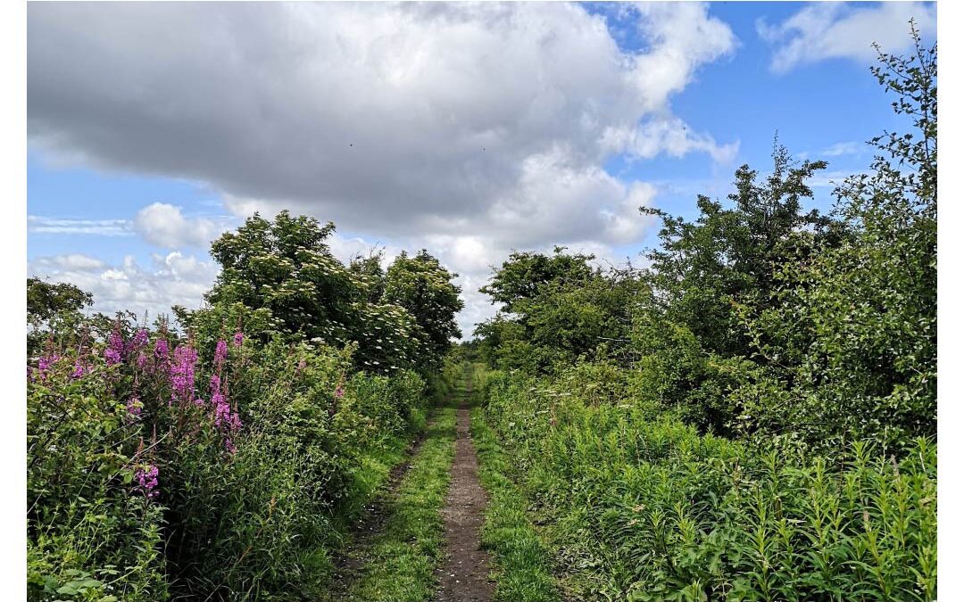 Get Outside for Green Health & Wellbeing Benefits