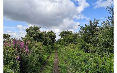 Get Outside for Green Health & Wellbeing Benefits