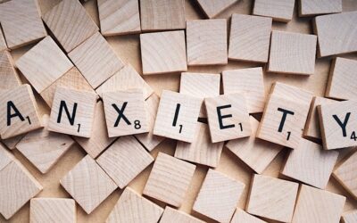 Special focus on care home wellbeing – sixth instalment