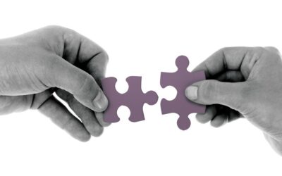 Special focus on care home wellbeing – eighth instalment