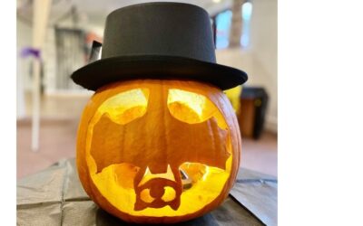 Pumpkin spook-tacular illuminates care home creativity and compassion