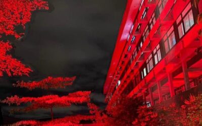 Light up red in Remembrance