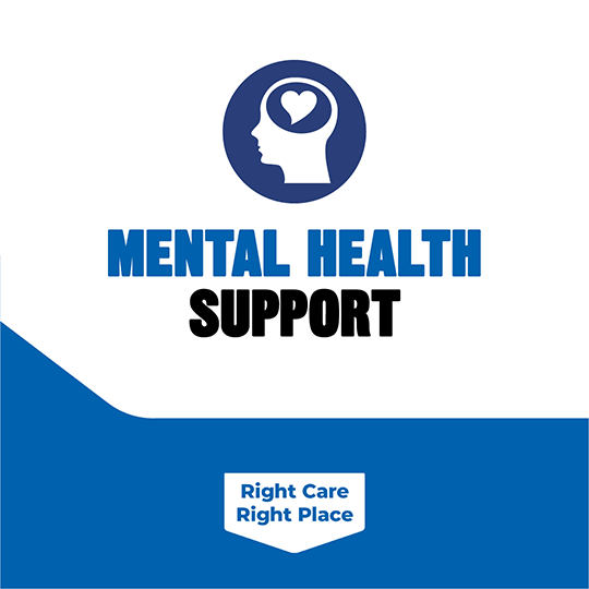 Mental Health Support