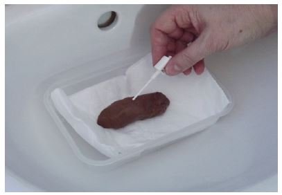 person taking a sample of poo