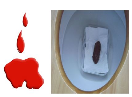 blood and poo