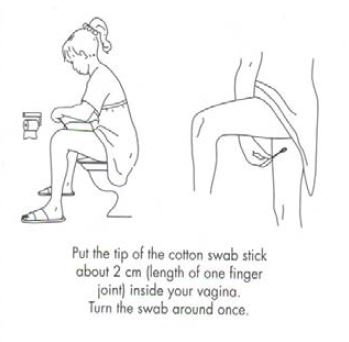 Put the tip of the cotton swab stick about 2 cm inside you vagina and turn the swab around once