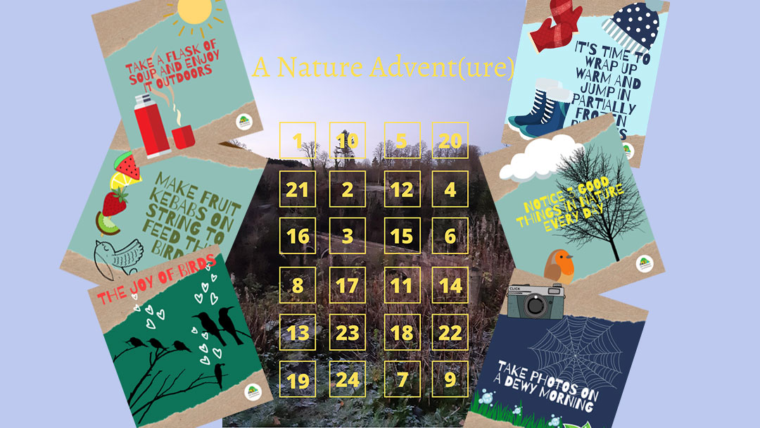 Graphic of calendar and nature ideas