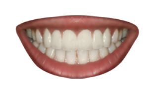 teeth