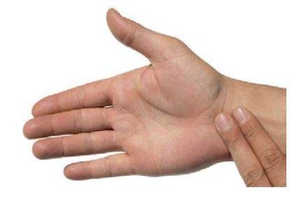 2 fingers on a persons wrist