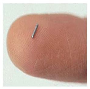 tiny needle next to a finger tip