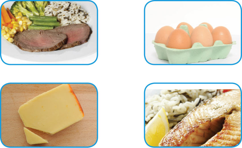 Four boxes depicting steaks, eggs, cheese and fish.