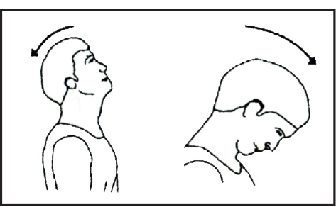 Illustration of exercising the neck back and forth.