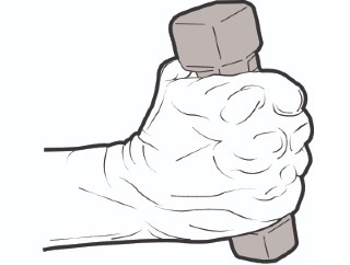 Closed fist upright with a small weight