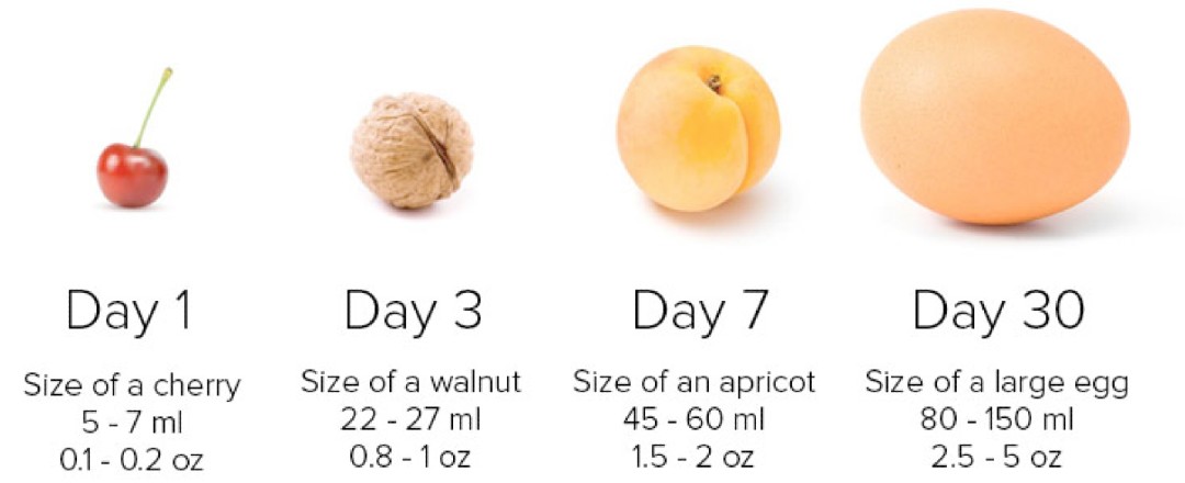 Diagram explaining the size of babies stomach as it ages