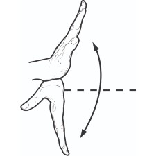 Palm open wrist extension