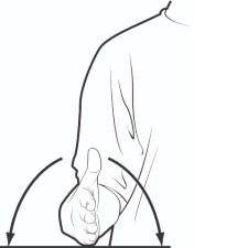 Exercise 3 225w Rotating the wrist
