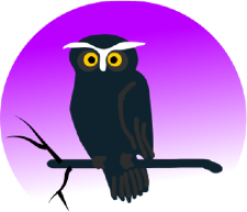 Image of an Owl perched on a tree branch at night 