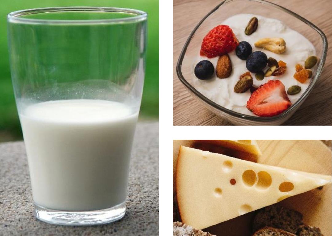 Glass of milk, bowl with yoghurt and fruit, and cheese