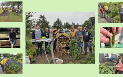 Green health initiatives within patient care