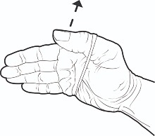 move thumb towards the ceiling, with tip bent 
