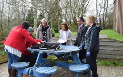 Hospital gardening project sowing seeds of improvement in patient mental health
