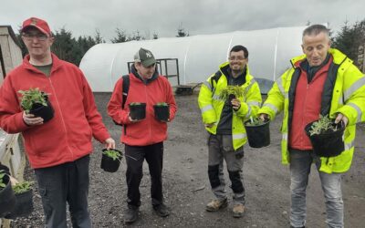 Green Health Partnership receives new funds for greener environments