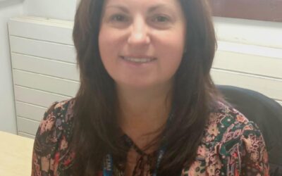 Children and young people at risk of harm inspection update