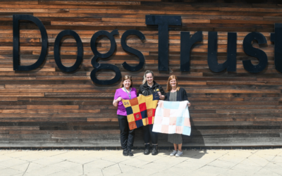 Team stitch together to create dog blankets for local charity