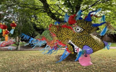 Oriental dragon arrives at Kirklands!