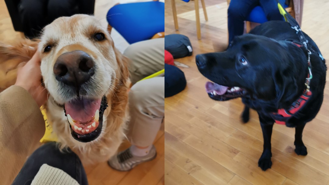 Therapets provide four-legged therapy
