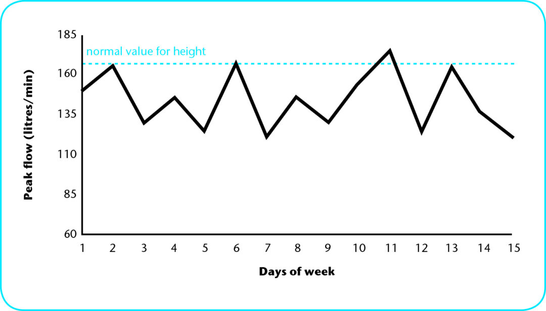 Peak flow graph