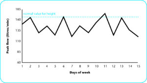 Peak flow graph