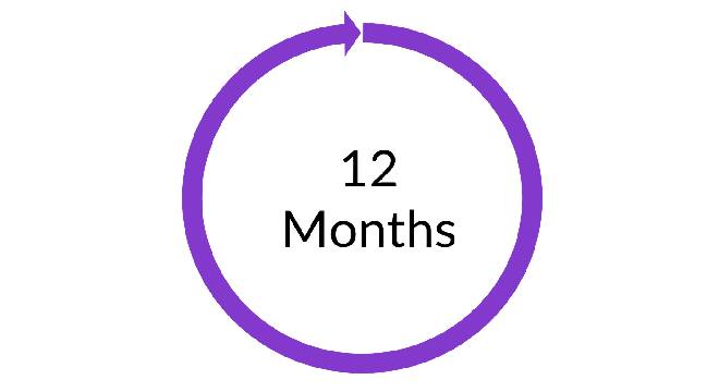 12 months