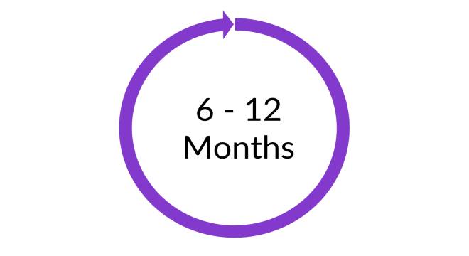 6 to 12 months 6 to 12 months