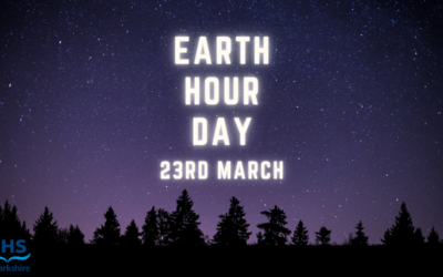 Earth Hour on Saturday