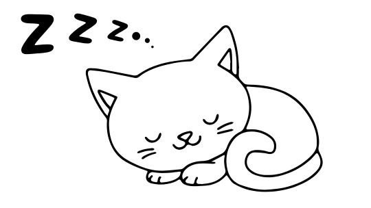 Brain Injury - sleep hygiene 540x304 Sleeping cat
