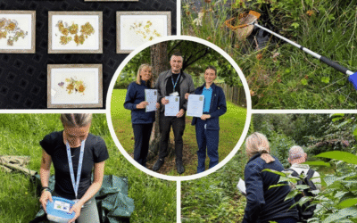 Environmental and nature-based award for staff and patients