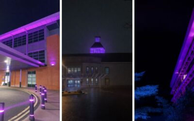 Celebrating Purple Day