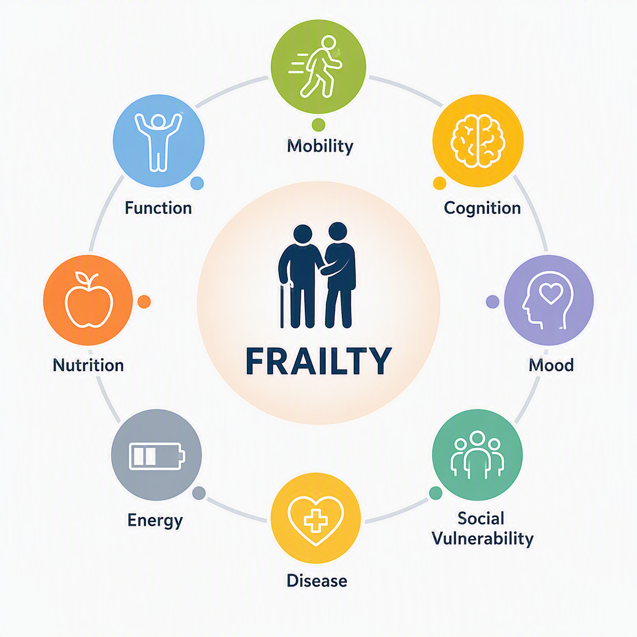 Designer (13) Frailty cycle showing supports